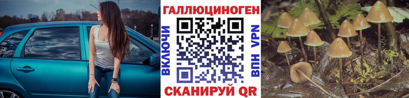 Купить где  Южно-Сахалинск  Галлюциногенные грибы Cubensis 